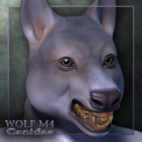 Canidae Wolf M4